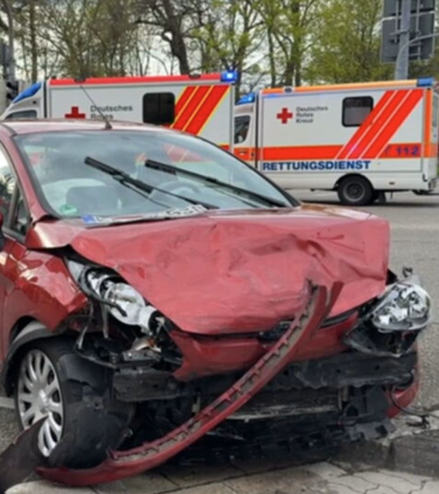 Ameisen legen Karlsruher Ampel lahm
