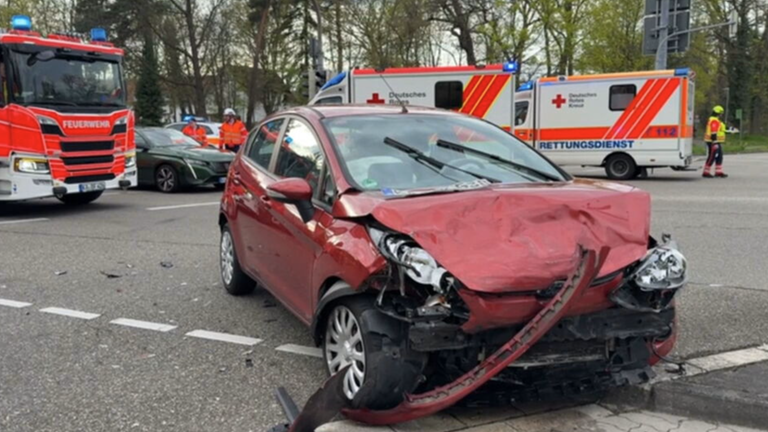 Ameisen legen Karlsruher Ampel lahm