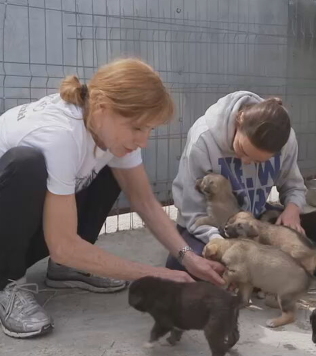 Hunderettung mit Andrea Sawatzki in Rumänien