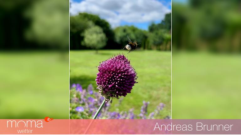 Gewinnerfoto vom 10. Juli 2026