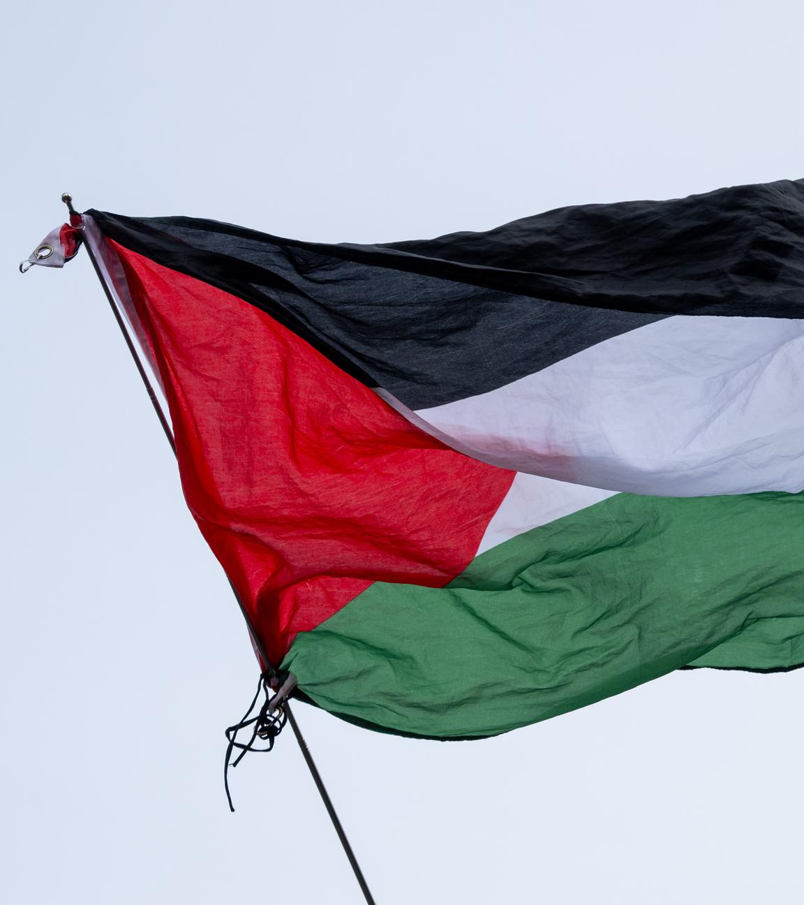 Die Flagge von Palästina wird geschwenkt.
