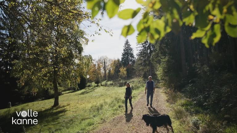 Zwei Menschen gehen mit Hund über Waldweg