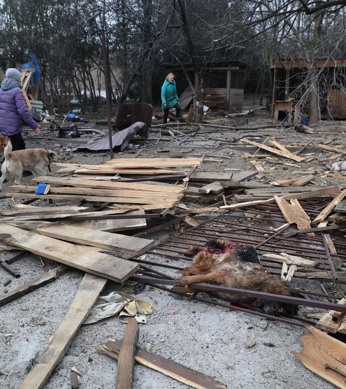 Nach russischem Luftangriff auf Hundeschutzhaus in Saporischschja, Ukraine, 6. Februar 2026.