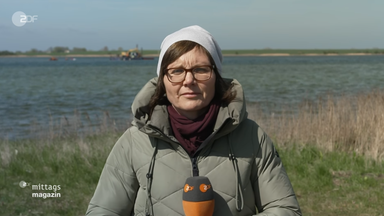anja-kapinos