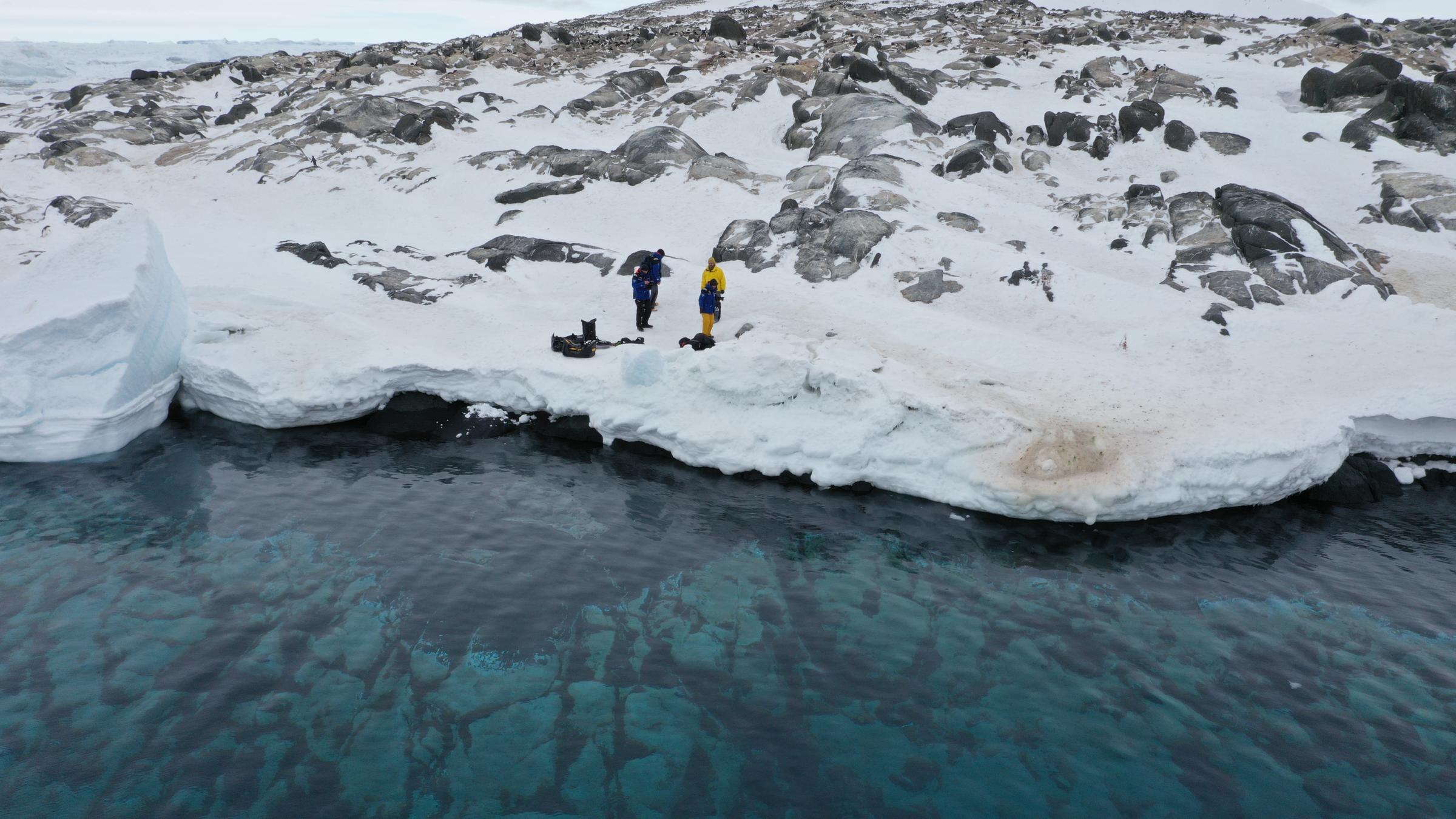 Das Team auf der Insel