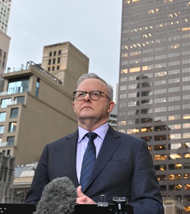 Australiens Premier Albanese in den USA