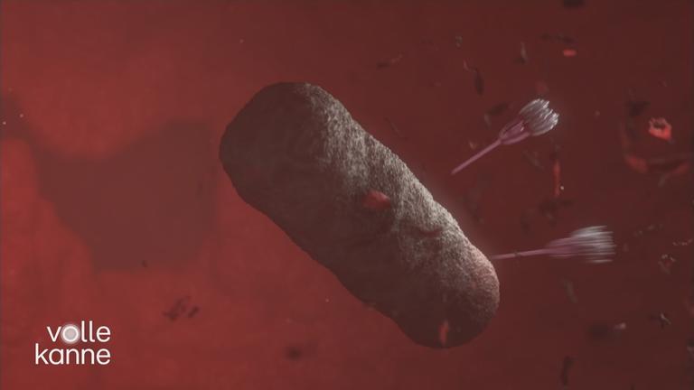 Grafik von einem Erreger