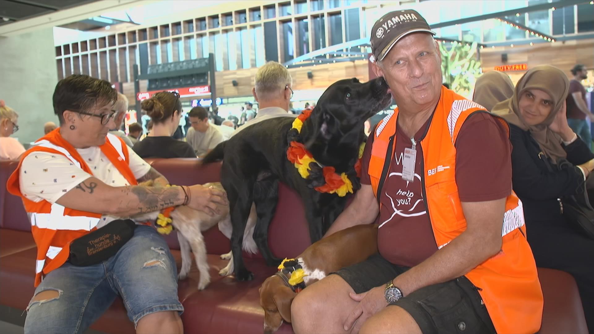 Hunde am Flughafen
