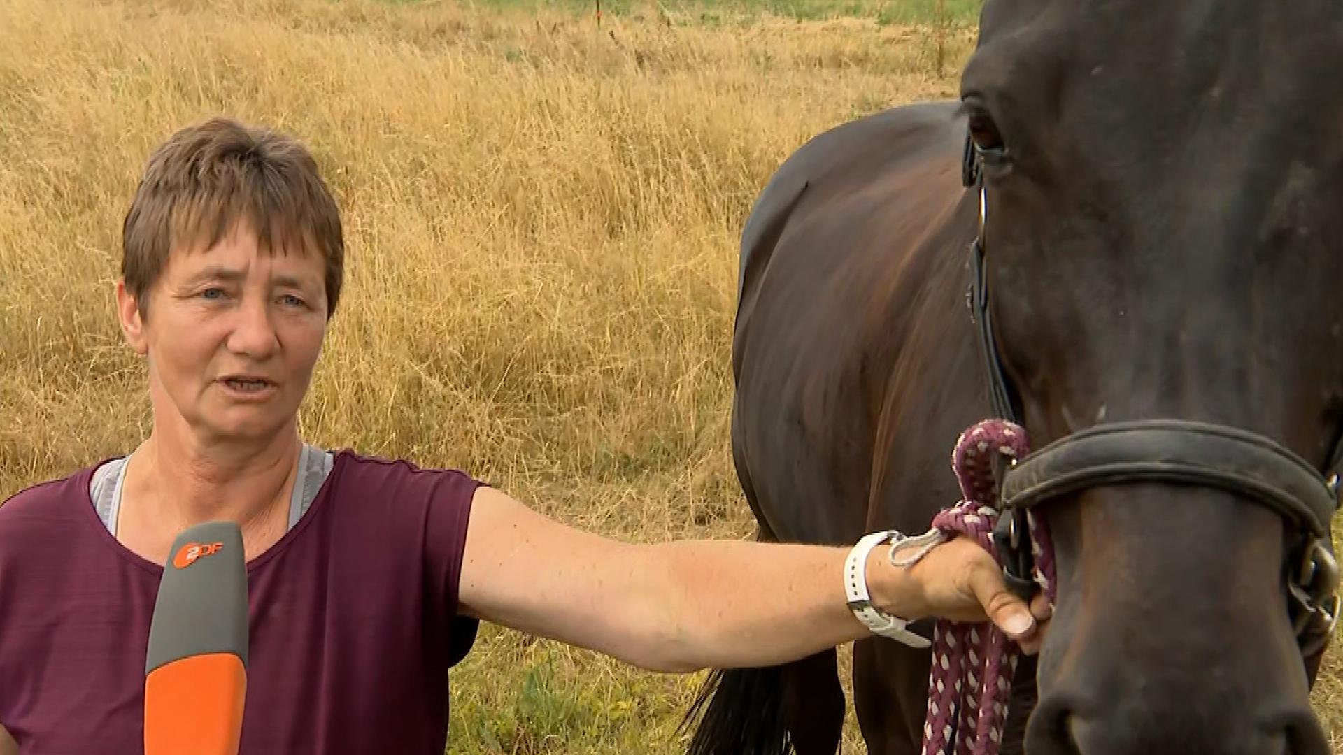 Eine Anwohnerin aus der Gohrischheide.