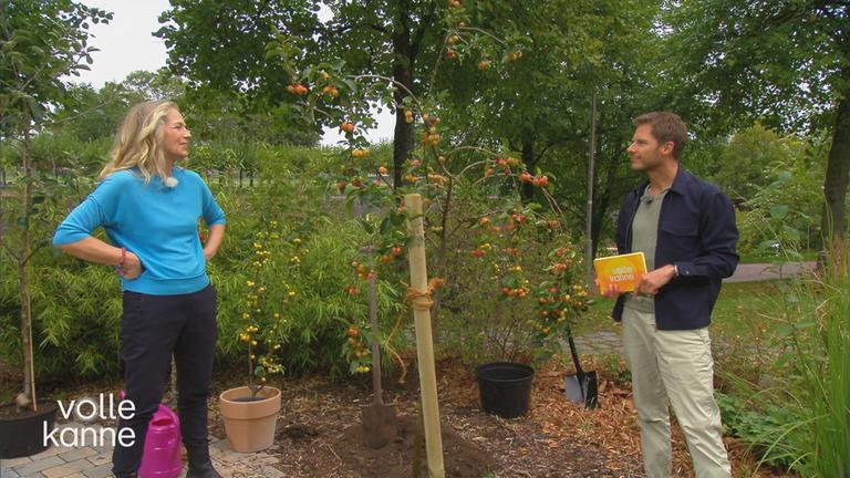 Anja Koenzen und Florian Weiss neben einem frisch gepflanzten jungen Apfelbaum.
