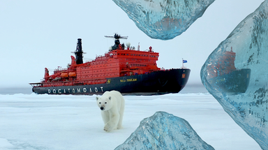 Ein Eisbär läuft über ein Eismeer, hinter im liegt ein Schiff, ein roter Eisbrecher.