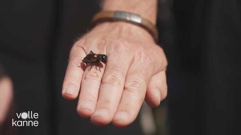 Artenvielfalt zum Anfassen