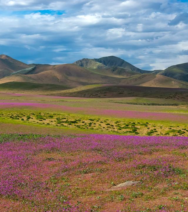 Die Atacama-Wüste in Chile. 