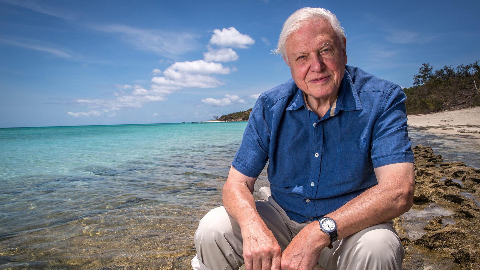 David Attenborough am Great Barrier Reef sitzend