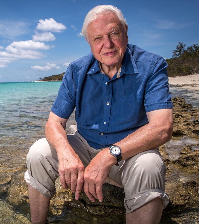 David Attenborough am Great Barrier Reef sitzend