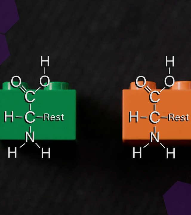 Aufbau Protein CC