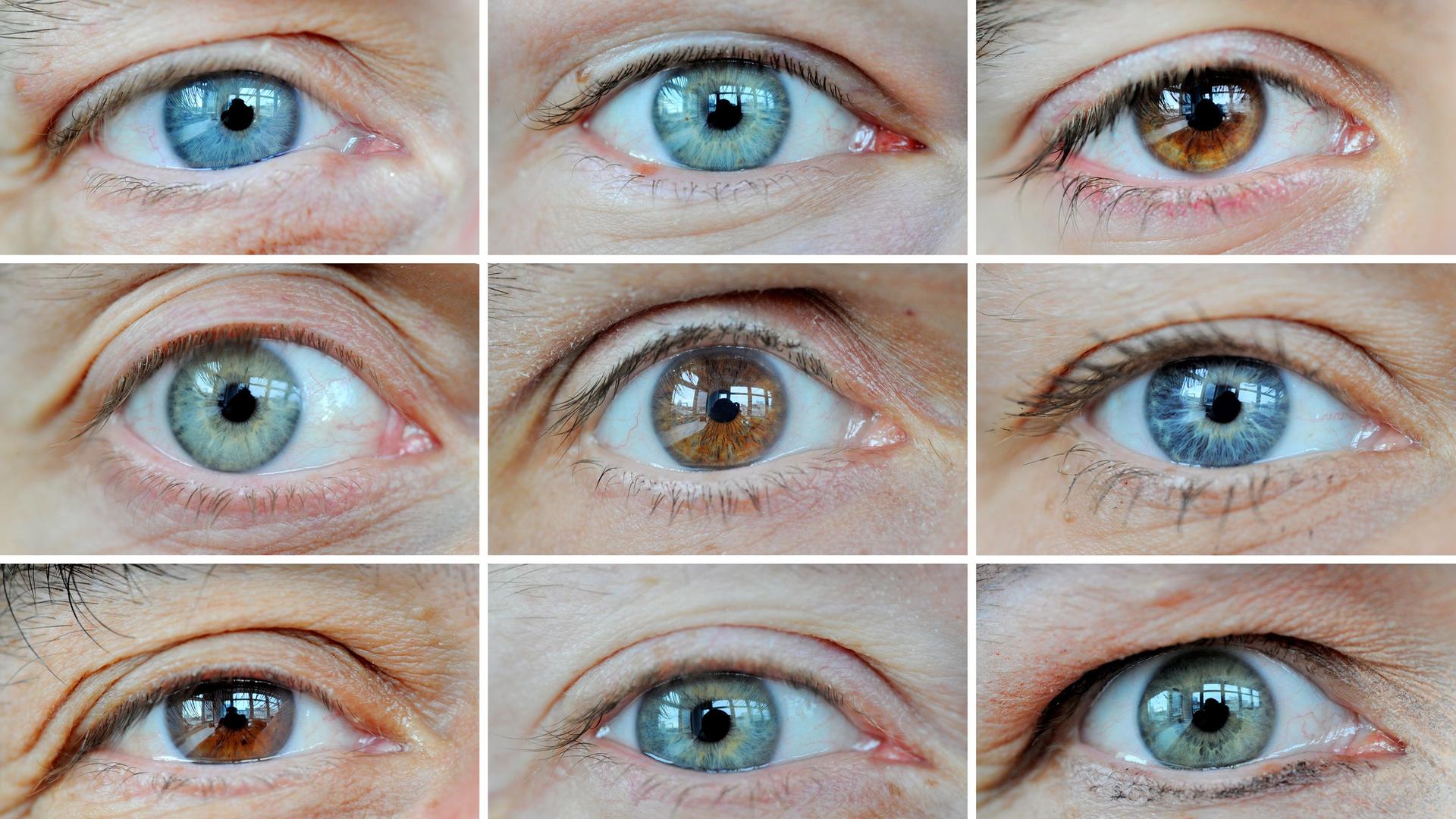 Neun menschliche Augen in der Nahaufnahme.