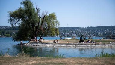 12.08.2026, Schweiz, Zürich: Menschen geniessen die Sonne auf vertrockneten Wiesen auf der Saffa-Insel, am Mittwoch, 12. August 2026 in Zuerich.