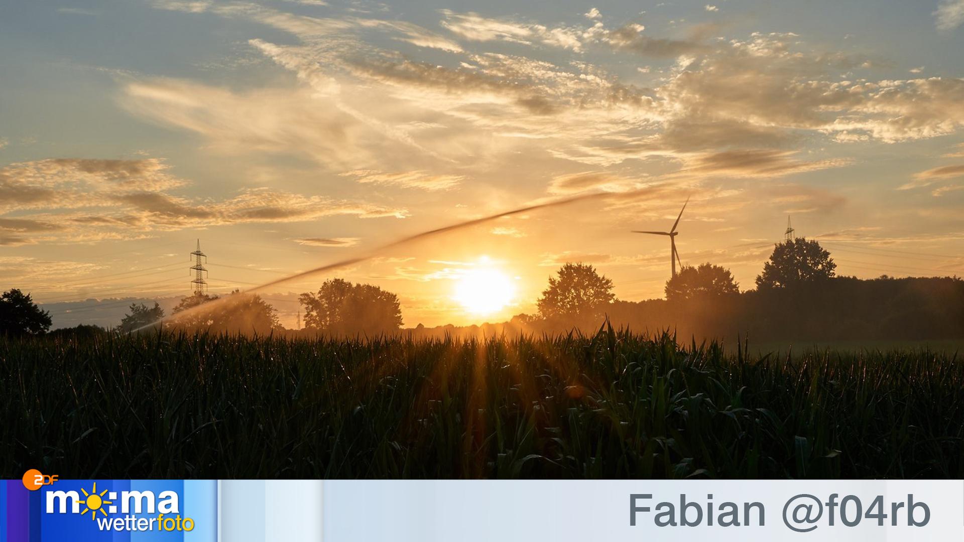 Gewinnerfoto vom 03. August 2018