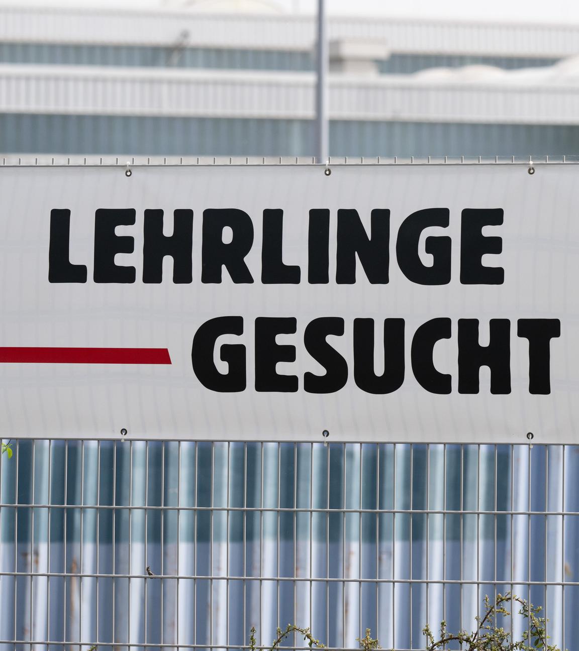 Ein Banner mit der Aufschrift "Lehrlinge gesucht" hängt in Zittau an einem Zaun – viele Betriebe suchen händeringend nach Auszubildenden.