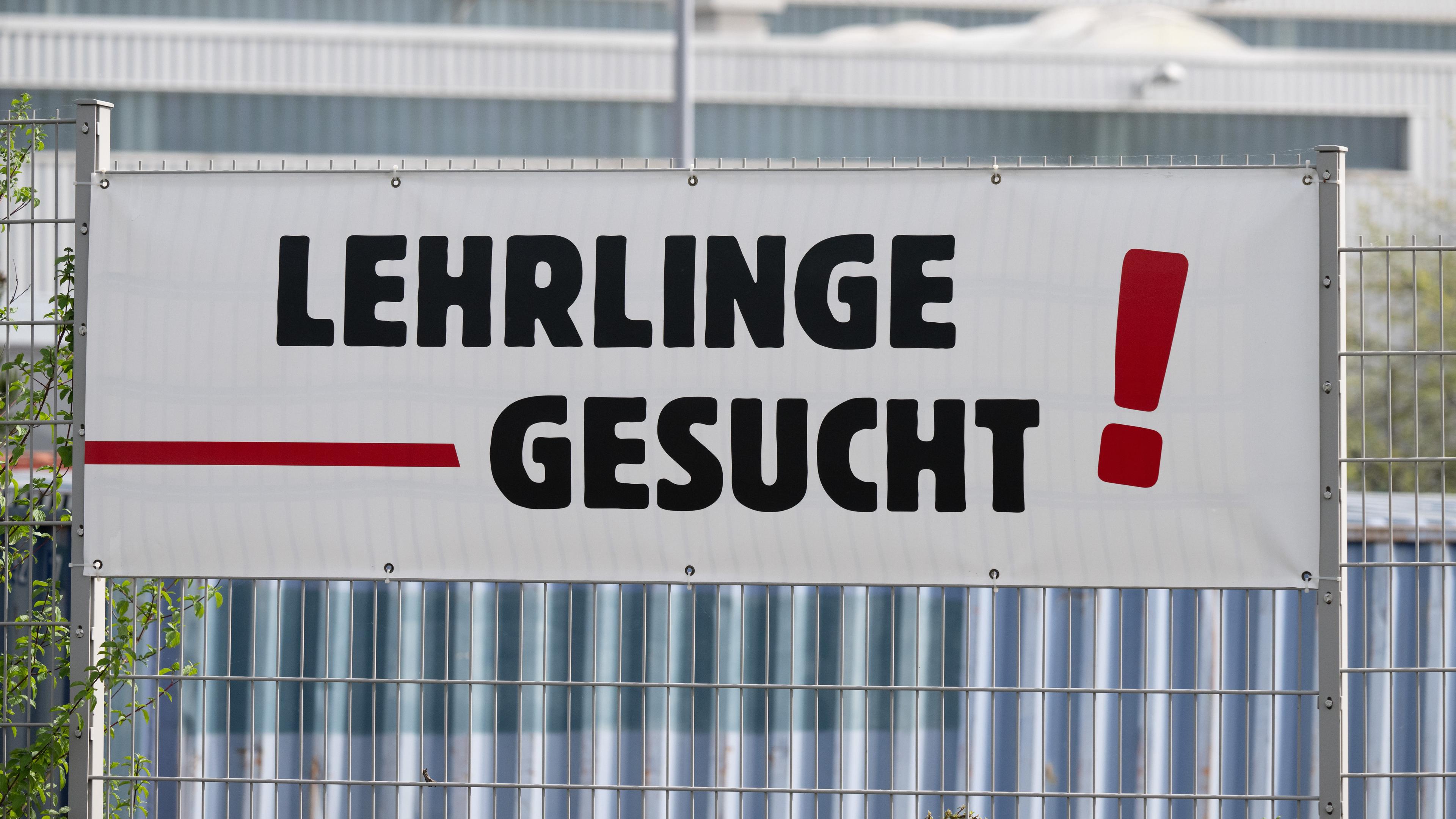 Ein Banner mit der Aufschrift "Lehrlinge gesucht" hängt in Zittau an einem Zaun – viele Betriebe suchen händeringend nach Auszubildenden.