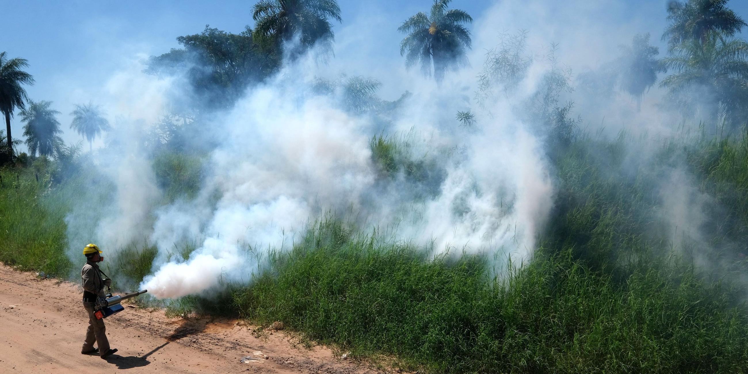 Ein Arbeiter ist bei der Ausräucherung gegen die Stechmücke Aedes aegypti im Einsatz. Gelbfiebermücken übertragen das Dengue-Fieber, aufgenommen am 28.12.2023