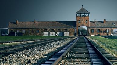 Schienen, die zum Eingang des Lagers Auschwitz führen