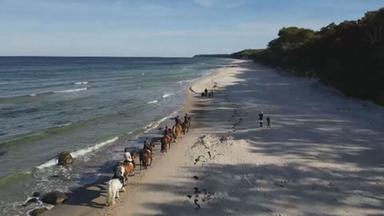 Ausritt auf Rügen