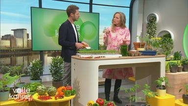 Florian Weiss und Anja Koenzen stehen hinter einem Tisch im "Volle Kanne"-Studio, auf dem verschiedene kleine Pflanzen stehen