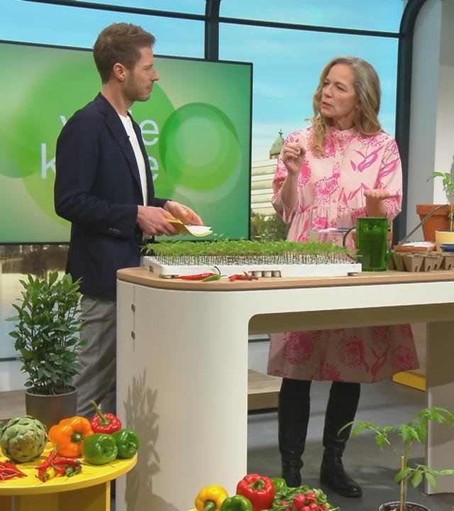 Florian Weiss und Anja Koenzen stehen hinter einem Tisch im "Volle Kanne"-Studio, auf dem verschiedene kleine Pflanzen stehen