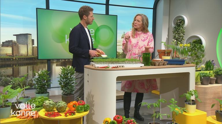 Florian Weiss und Anja Koenzen stehen hinter einem Tisch im "Volle Kanne"-Studio, auf dem verschiedene kleine Pflanzen stehen