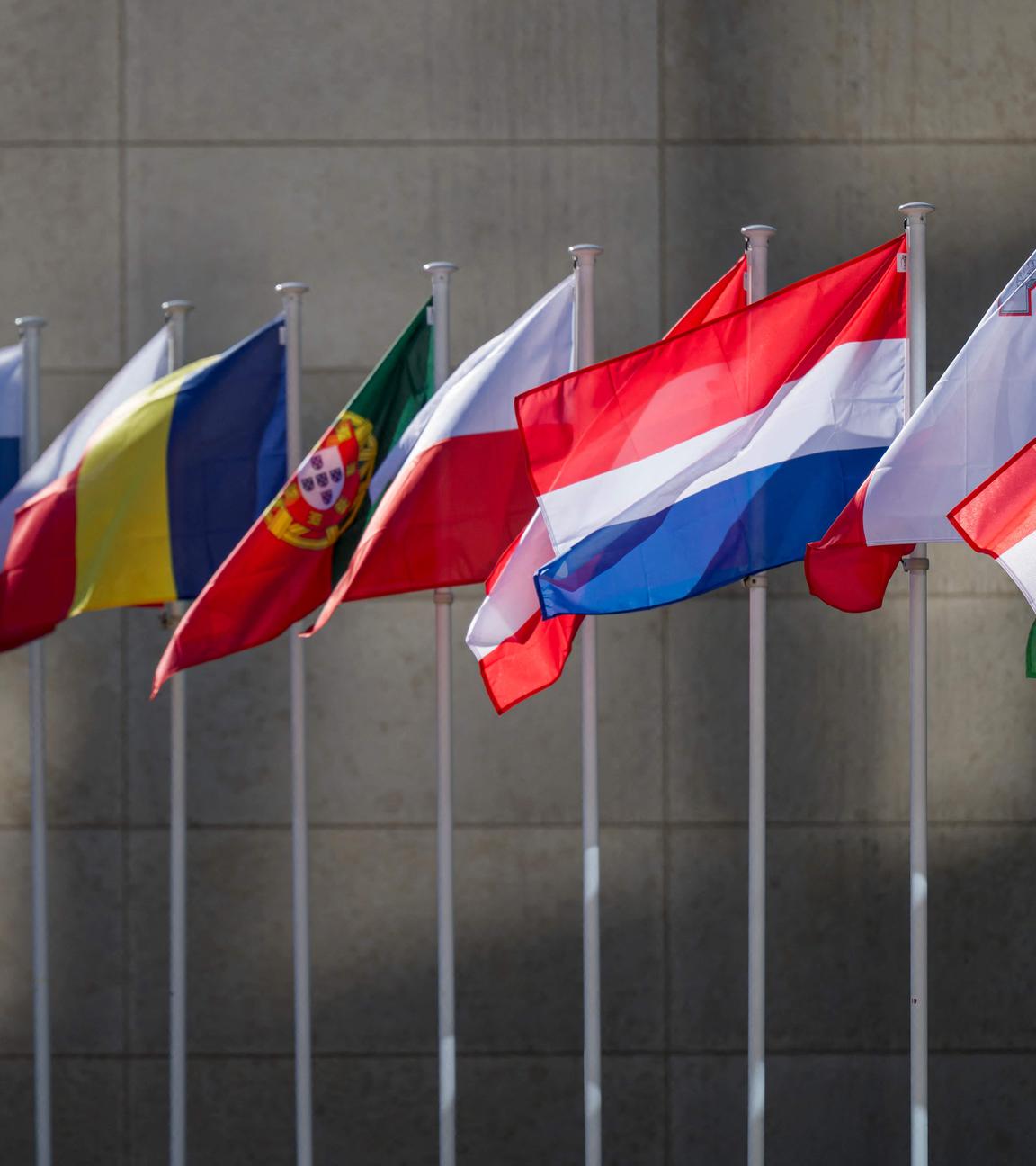 Flaggen europäischer Länder wehen im Wind