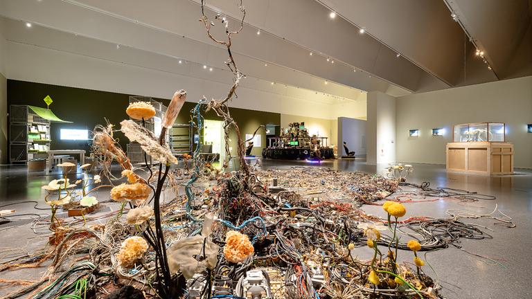 In einem Ausstellungsraum sieht man eine Installation aus Müll.
