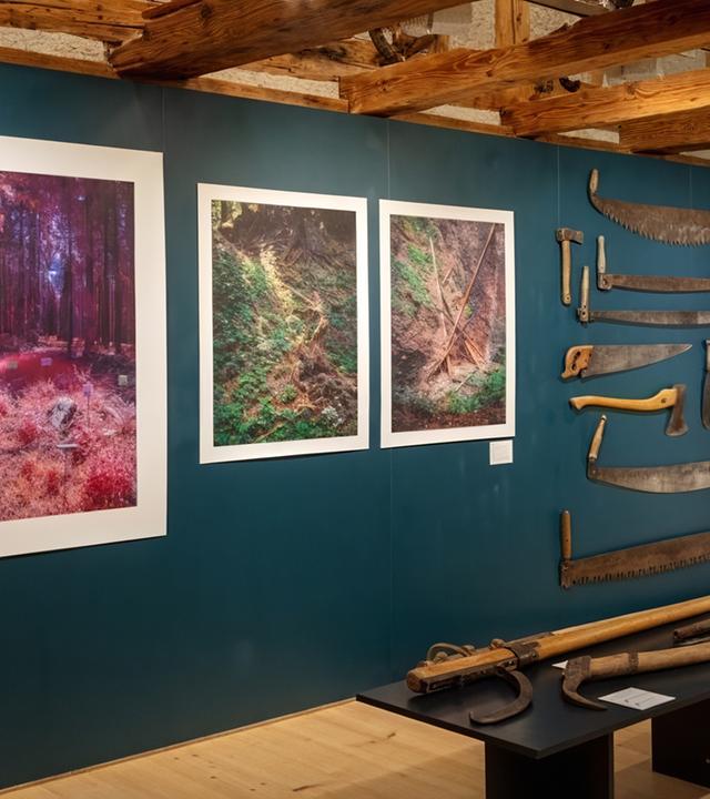 In eienm Ausstellungsraum hängen Bilder und Werkzeuge an einer petrolfarbenen Wand. Im oberen Bereich sieht man eine ältere Holzdecke.