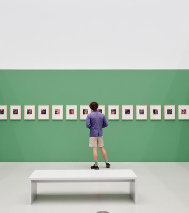 In eienm Ausstellungsraum schaut ein Mann sich Fotografien an, die an einer grünen Wand hängen.
