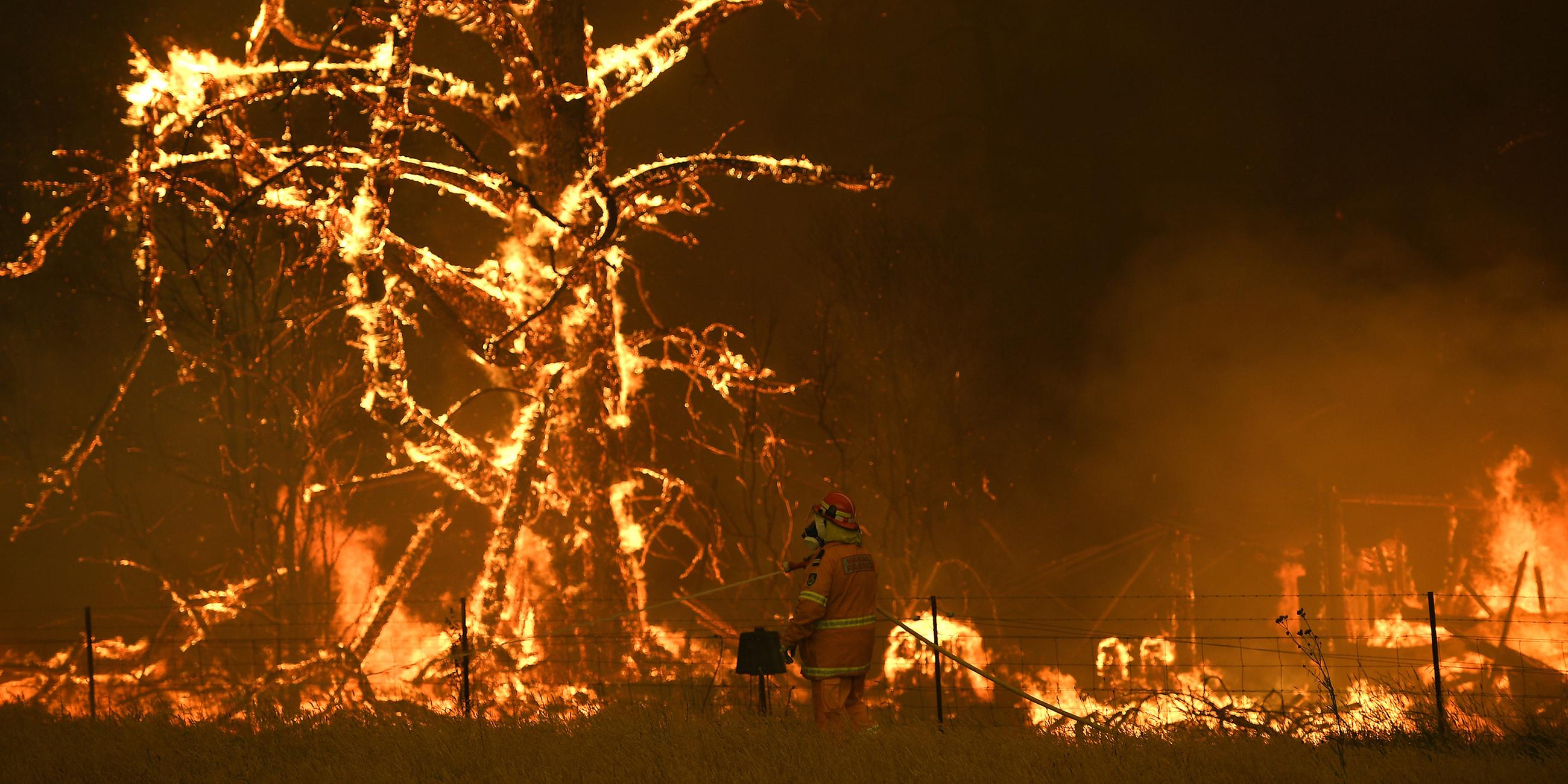 Buschfeuer in Australien