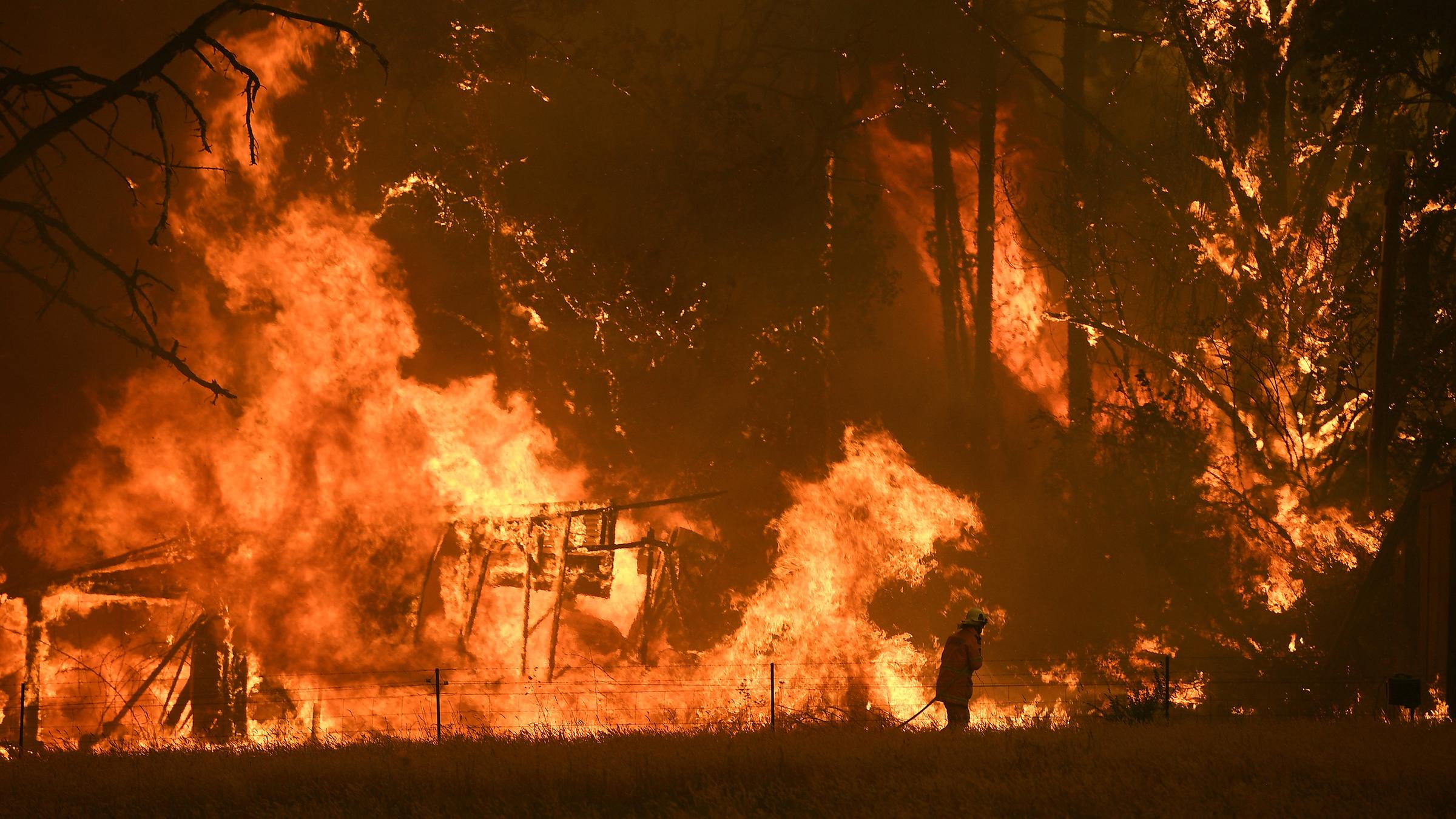 Buschfeuer in Australien
