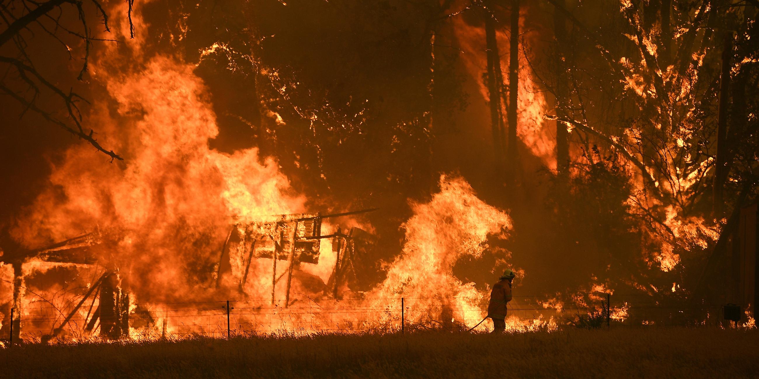 Buschfeuer in Australien