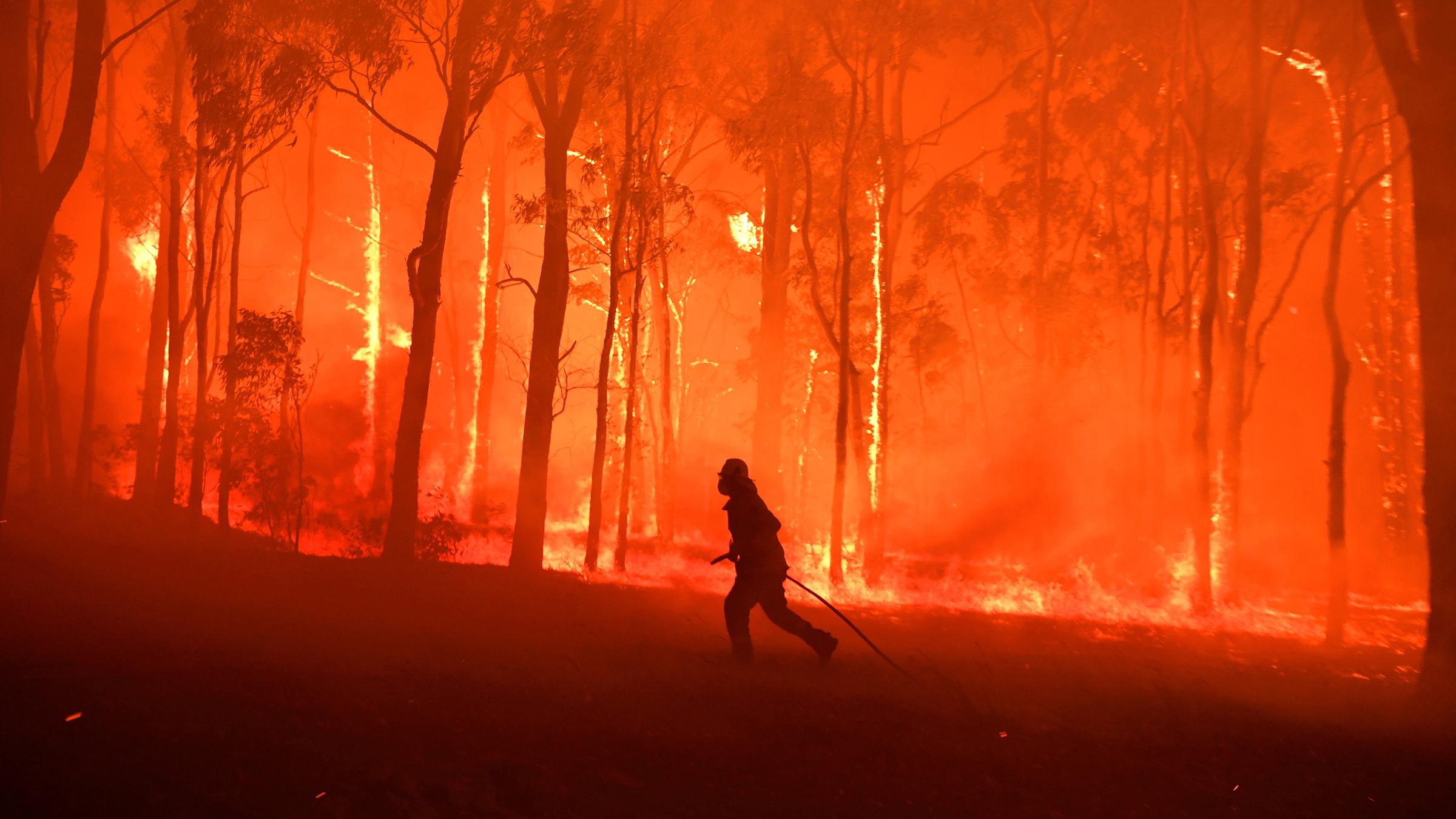 Buschfeuer in Australien