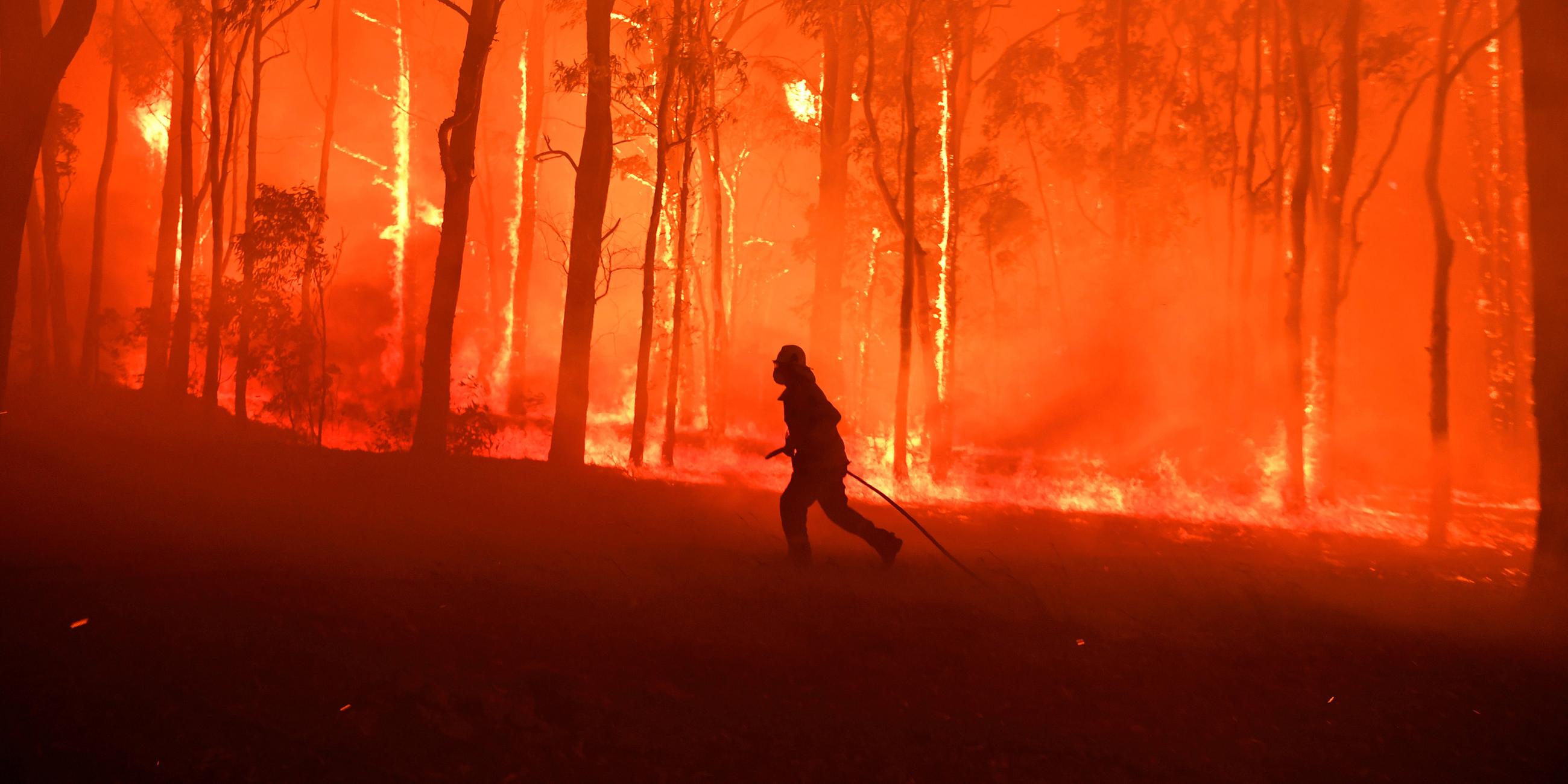 Buschfeuer in Australien