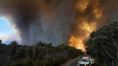 Australien Buschfeuer