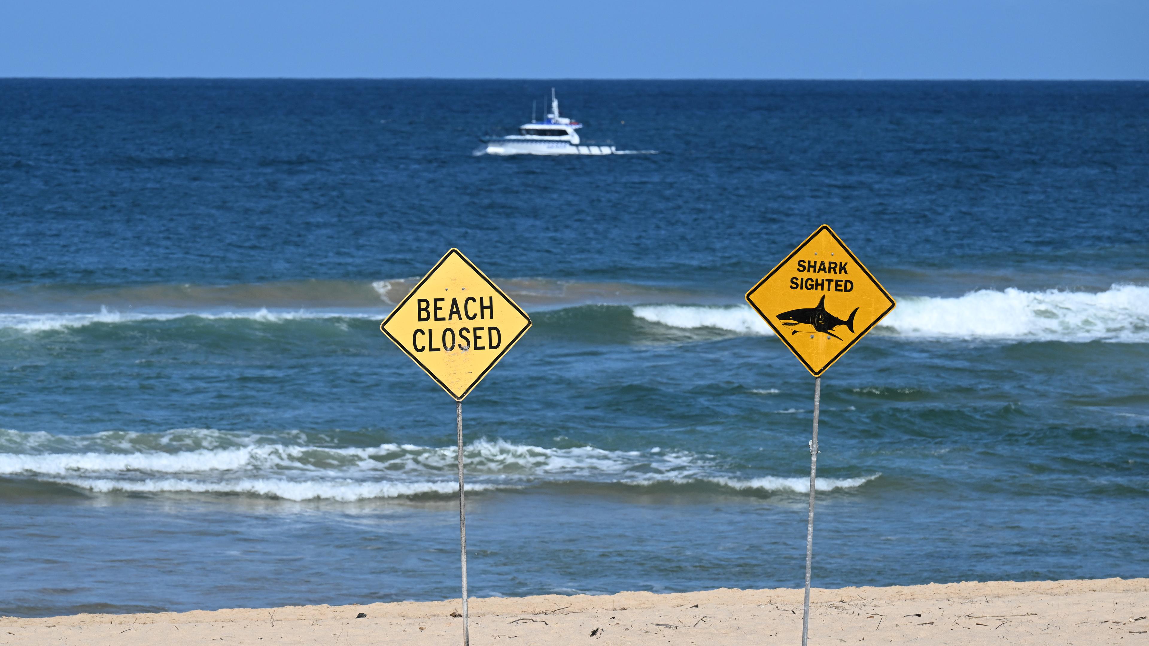 Der Strand in Sydney ist gesperrt, während ein Polizeiboot den Schauplatz eines tödlichen Haiangriffs am Long Reef Beach absucht.