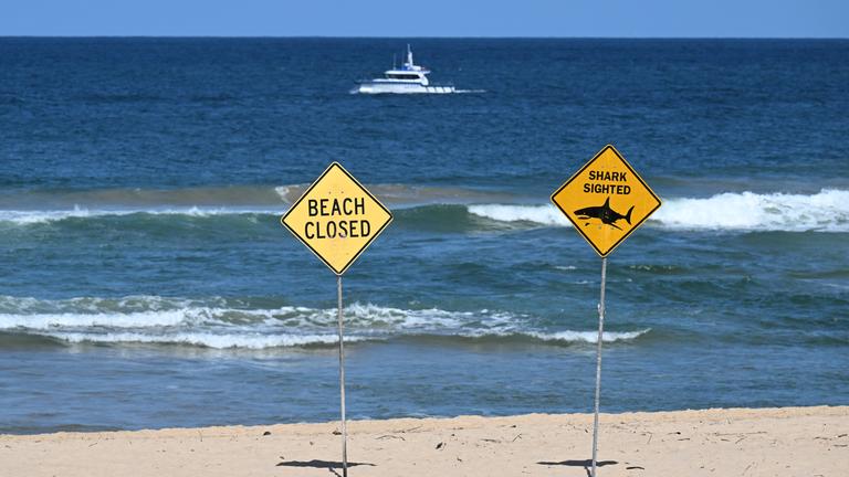 Der Strand in Sydney ist gesperrt, während ein Polizeiboot den Schauplatz eines tödlichen Haiangriffs am Long Reef Beach absucht.