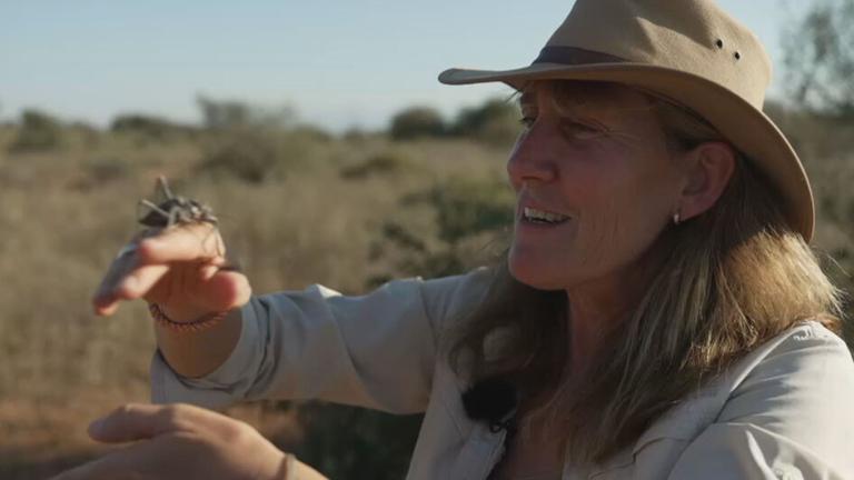 Vor 17 Jahren verließ Claudia ihre Heimat und zog nach Südafrika um dort als Rangerin zu arbeiten. Sie gründete sogar ihr eigenes Safari-Unternehmen.