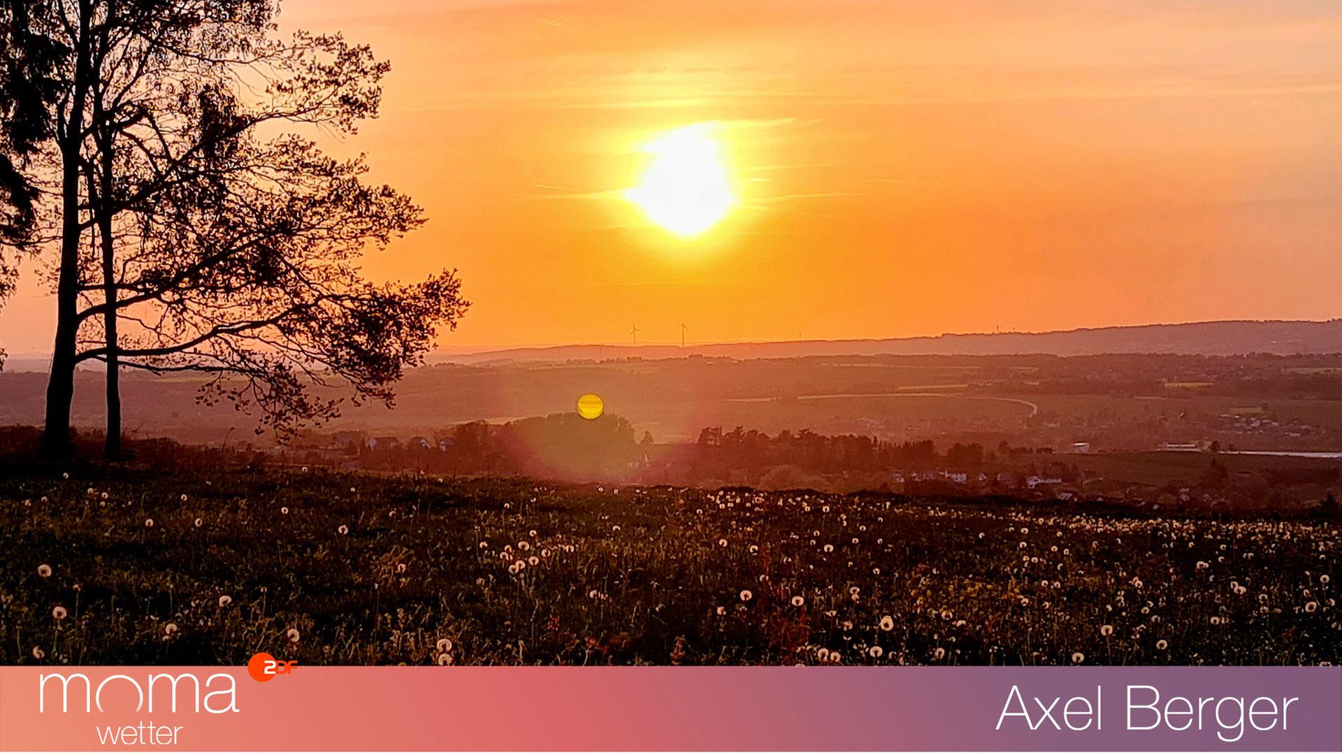 Gewinnerfoto vom 19. Mai 2023