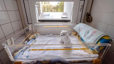 Babyklappe in Karsruhe.