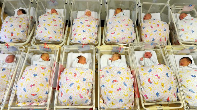 Babys liegen zusammen auf der Neugeborenenstation im Krankenhaus St. Elisabeth und St. Barbara in Halle, Archivbild