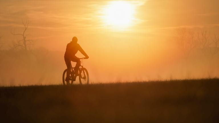 Baden-Württemberg, Riedlingen: Ein Radfahrer ist am Morgen im Gegenlicht der aufgehenden Sonne im Morgennebel unterwegs