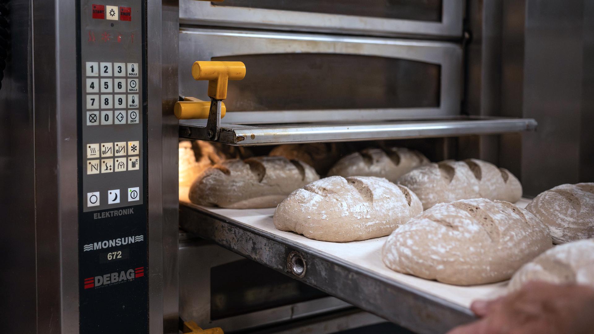 Die Ofensteuerung zeigt die Einstellungen für Temperatur und Backzeit, während die Brote auf einem Backblech liegen