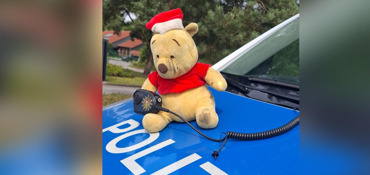 Bär auf Autobahn